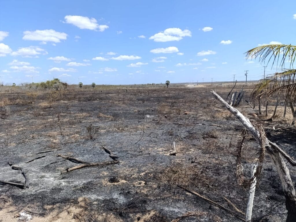 IMG-20251016-WA0315-1024x770 URGENTE: IDOSO ISOLADO ENTRE AS CHAMAS DE INCÊNDIO EM MACAU